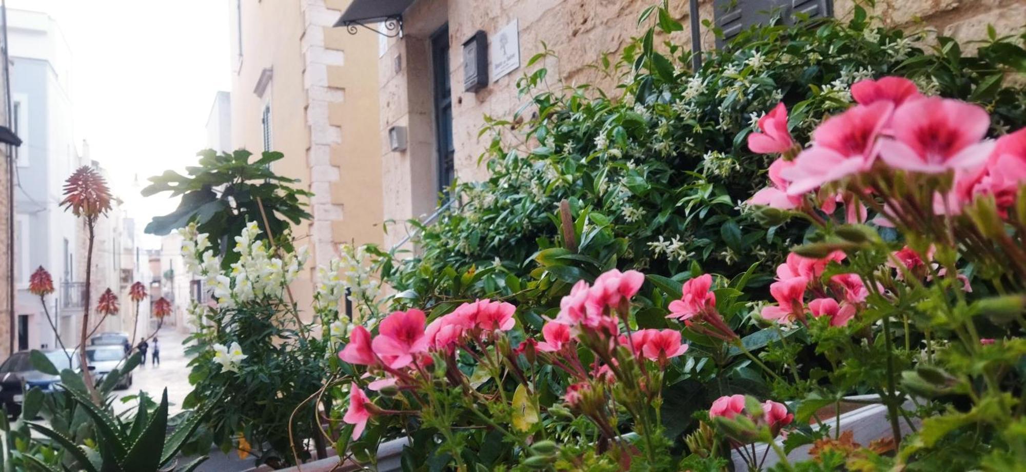 Dimora Delle Badesse Bed & Breakfast Conversano Exterior photo